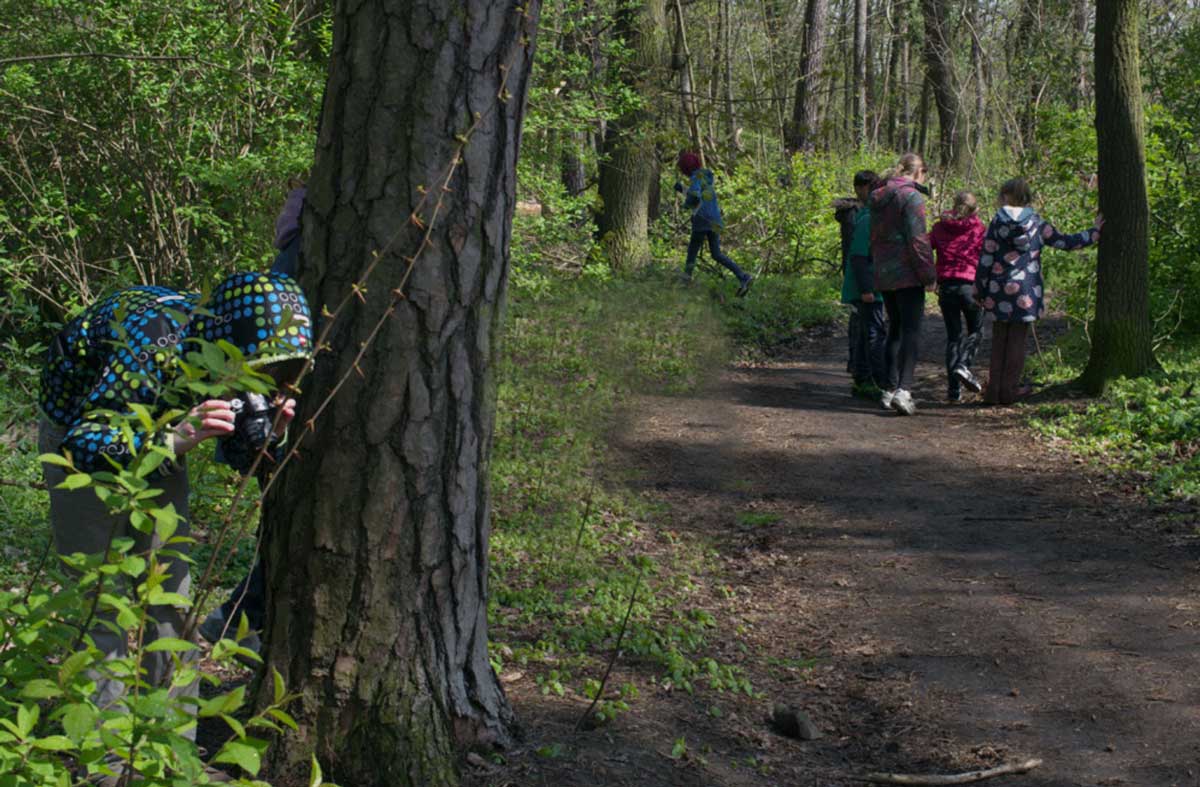 im-wald
