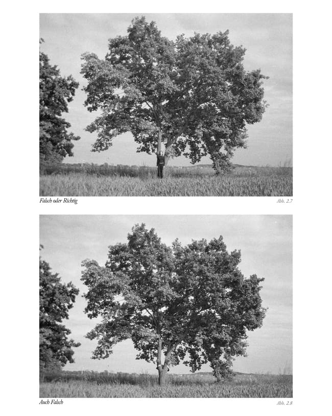 Fine Schröter - Anleitung: Das Fotografieren mit einem Baum